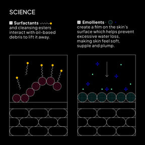 NIOD Hydro-Ester Cleaning System (HECS) - how it works