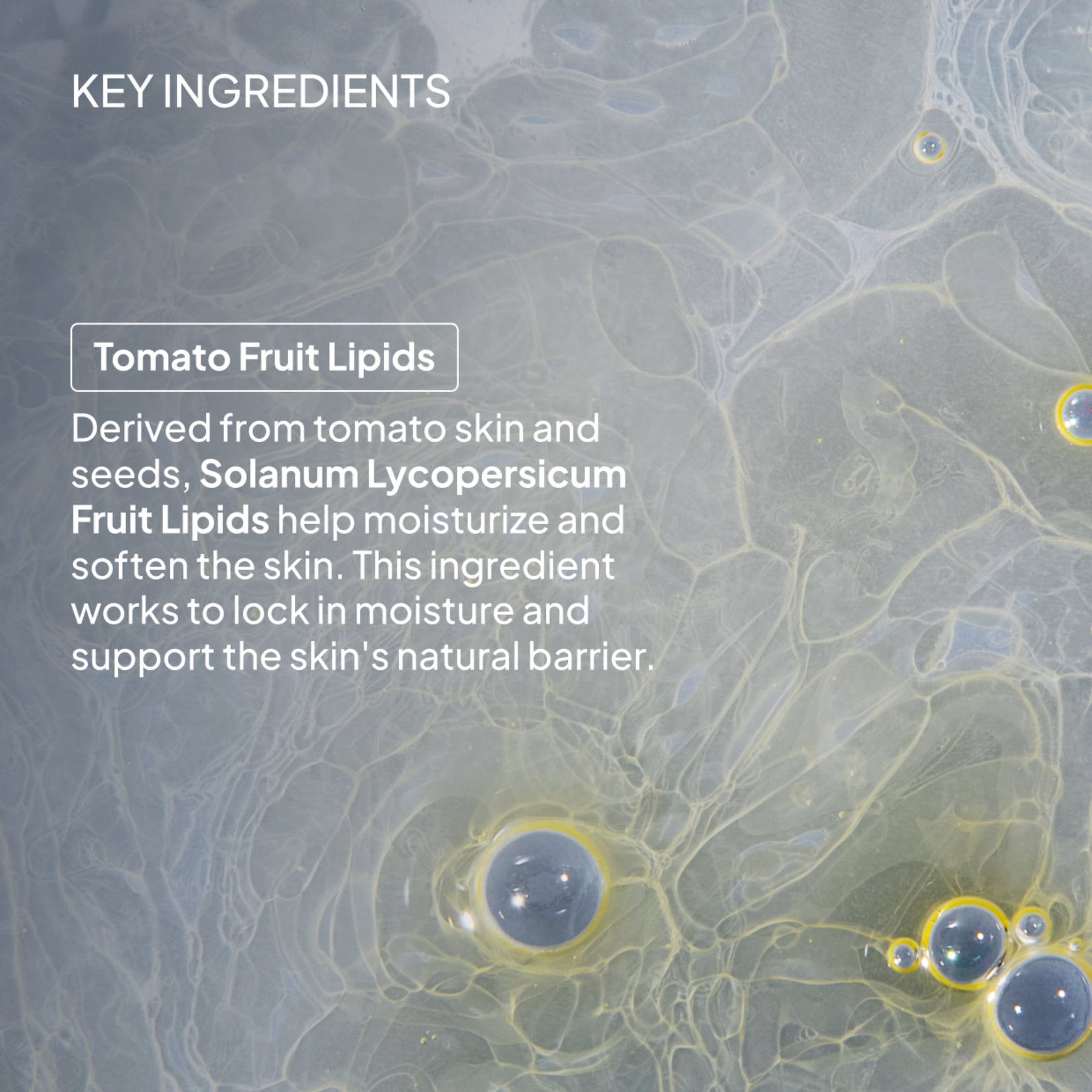 NIOD Hydro-Ester Cleaning System (HECS) - ingredients