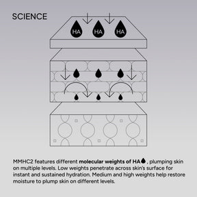 NIOD Multi Molecular Hyaluronic Complex MMHC2 - how it works