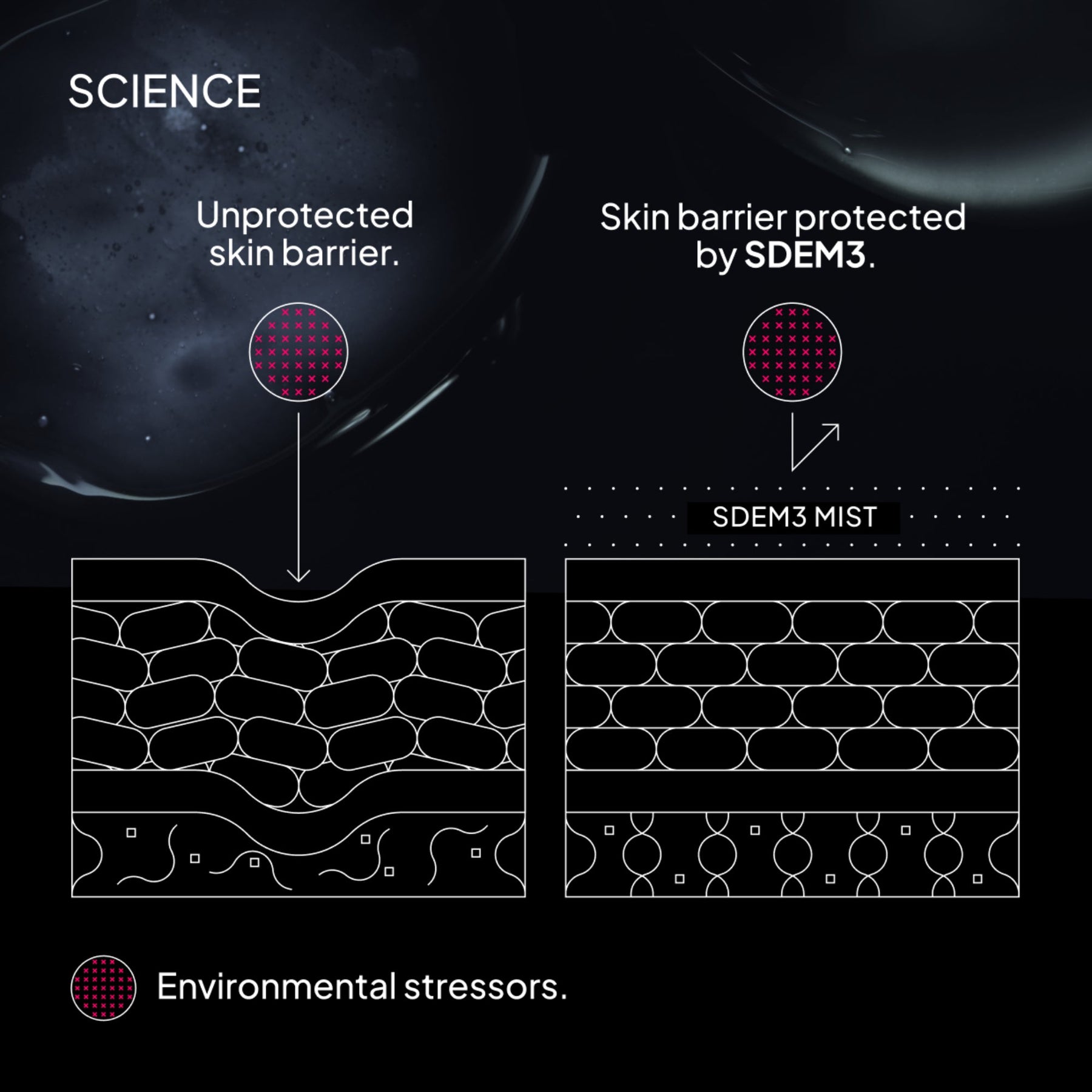 Niod Superoxide Dismutase 3 Enzyme Mist (SDEM3) how it works